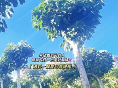 -三亚南山文化旅游区