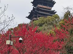 -杭州半山国家森林公园