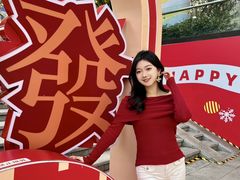 -VT101维多利广场