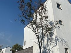 -东梓关景区村庄