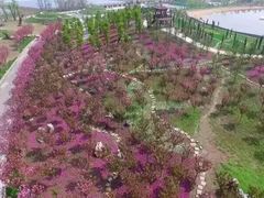 -南通洲际绿博园