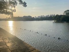 -江心屿景区