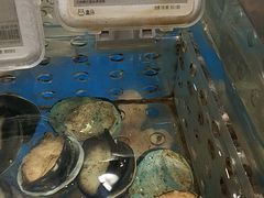 -盒马鲜生(顺义店)