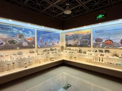 -甘肃地质博物馆