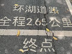 -海珠湖公园