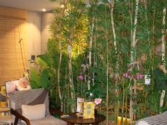 -施奈儿.洗头頭療.按摩SPA.采耳(上梅林店)