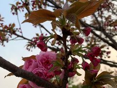 -滨湖塘西河公园
