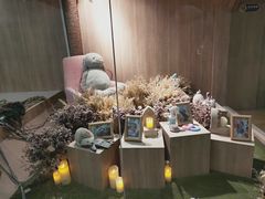 -藦茜花园宠物主题亲子互动体验馆(国顺东路店)