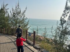 -广东惠东海龟国家级自然保护区