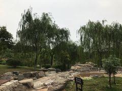-鹦鹉寺公园