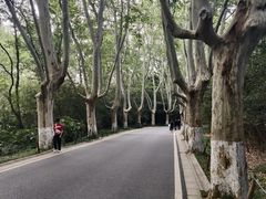 -灵谷景区