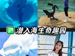 -秦皇岛乐岛海洋王国