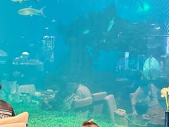 -海棠湾洲际-涛·海底餐厅·美人鱼·自助餐·海底隧道