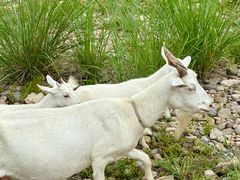 -楠溪江风景名胜区