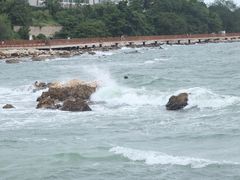 -养马岛旅游度假区