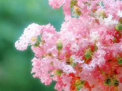 -杭州城北体育公园