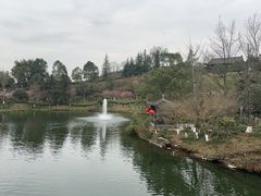 -重庆园博园