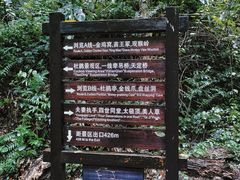 -云南屏边大围山国家公园