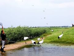 -北极村旅游风景区