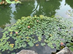 -三里河公园