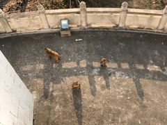 -苏州上方山国家森林公园