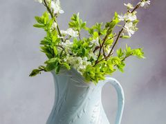 -東舍食唐精品陕菜馆
