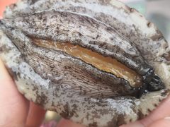 -青石桥市场北1-27号