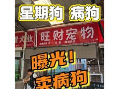 -中环花鸟鱼虫市场