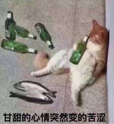 -晶禾臻语·问题肌研究所