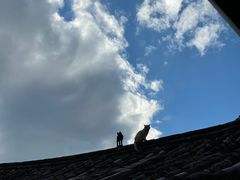 -田德能咖啡博物馆