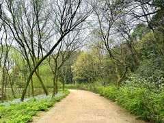 -西湖风景区-江洋畈生态公园