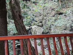 -藏龙百瀑风景区