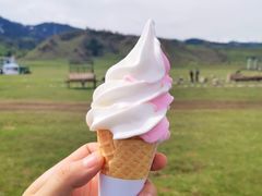 -新疆那拉提国家旅游度假区