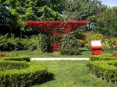 -大望京公园