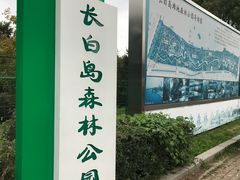 门面-长白岛森林公园