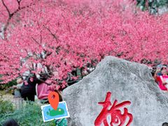 -重庆彩云湖湿地公园