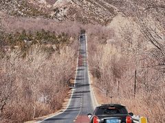 -野鸭湖国家湿地公园