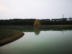 -乌村