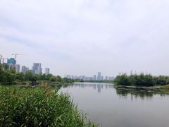 -洋湖国家湿地公园