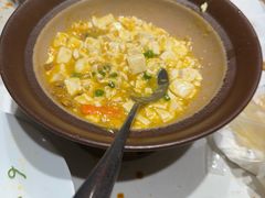 -杨氏青龙虾·羊蝎子(托乐嘉店)