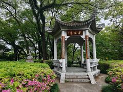 -江心屿景区