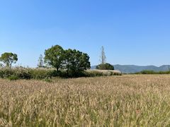 -良渚古城遗址公园