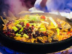 -老板恋上鱼(恒隆广场店)