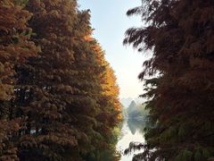 -昆山城市生态森林公园