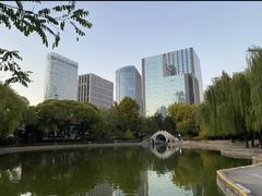 -团结湖公园