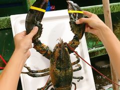 波士顿龙虾-黄沙水产交易市场
