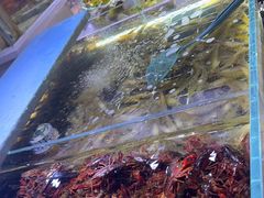 -聚盛源蒸汽海鲜火锅烤肉自助(巨川金海岸购物广场店)