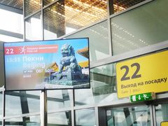 -谢列梅捷沃国际机场