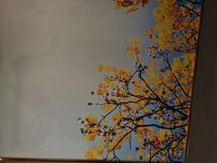 -蓉府金足印象(望江店)