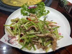 -老家聚(阳谷店)